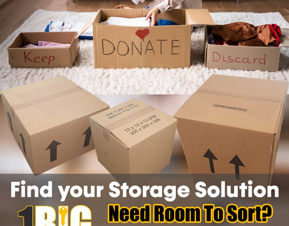 1BigStorage Spring Cleaning Boxes